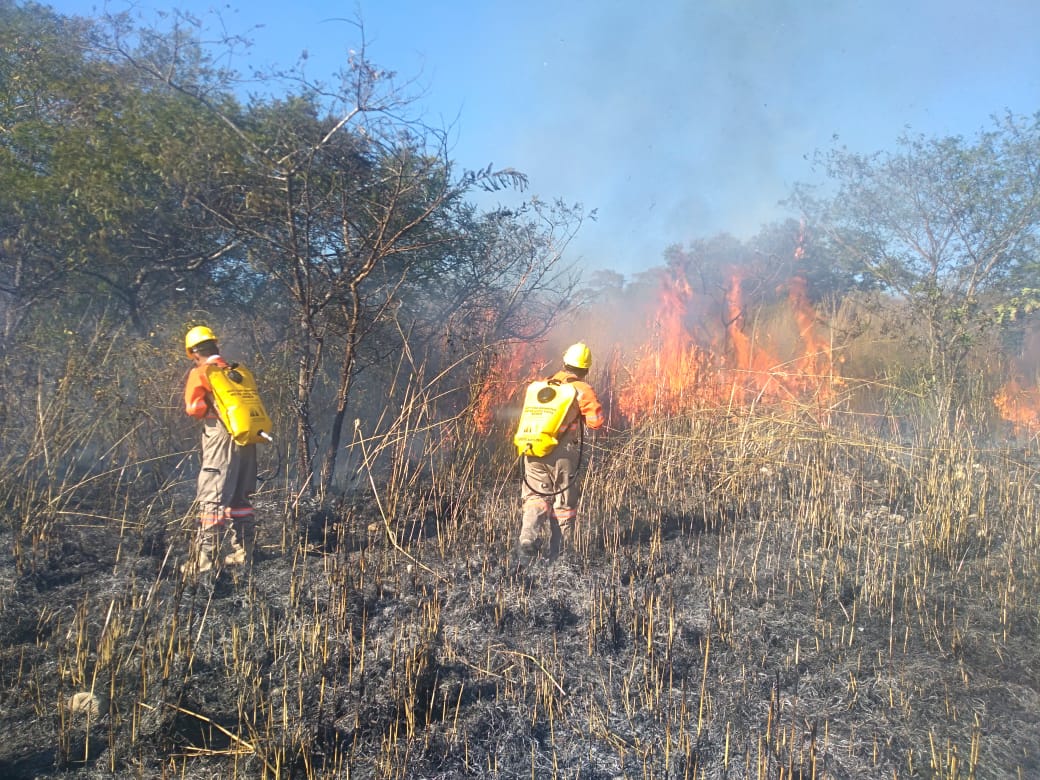 Quema De Basura Principal Causa De Incendios Urbanos En Tuxtla El