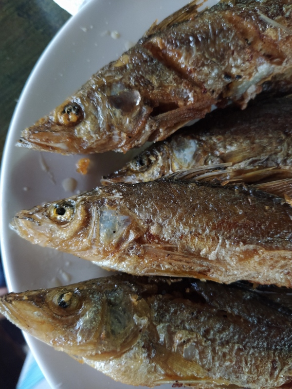 Cabezas de pescado