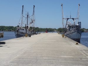 Falta de apoyo para diésel marino y del subsidio ribereño agrava situación de pescadores 