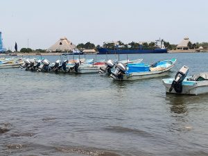 Falta de apoyo para diésel marino y del subsidio ribereño agrava situación de pescadores 