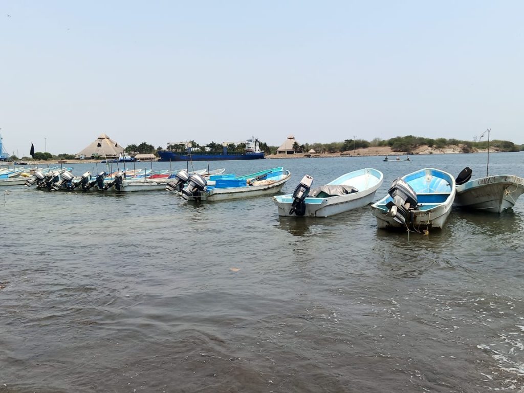 Pescadores tiburoneros con problemas críticos para desarrollar la actividad 