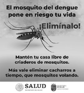 Cuidado con el dengue!
