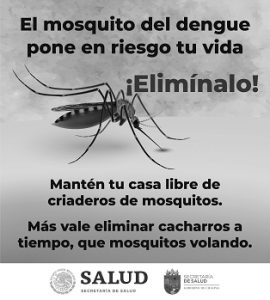 Luchemos Contra el Dengue