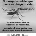 Lucha contra el Dengue